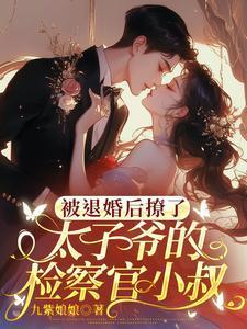 被退婚后成了太子妃 庄小九免费