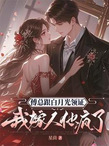 傅总跟白月光领证我嫁人他疯了全文免费阅读