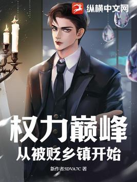 权力巅峰之后是哪部书